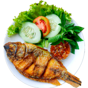Pangasius Basa